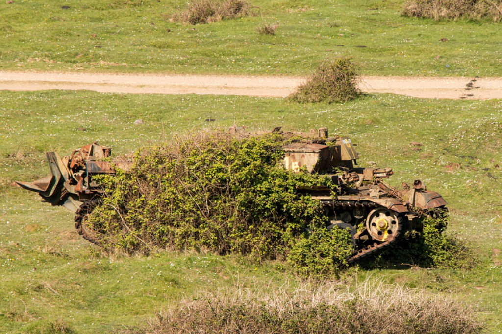 15 tanques devorados pela natureza como se nunca tivesse acontecido uma guerra 10
